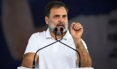 Rewa News : राहुल गांधी से सीधे संवाद में रीवा, मध्यप्रदेश के पारिजात सिंह ने उठाए विंध्य के मुद्दे