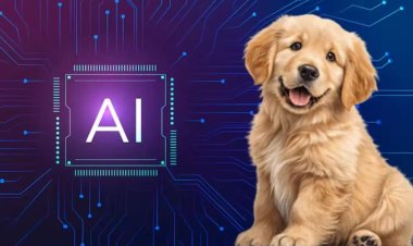 AI से अब समझी जाएगी जानवरों की भाषा? कौओं पर रिसर्च में मिले चौंकाने वाले संकेत