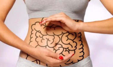 Gut Health : सुबह के नाश्ते में खाएं ये 5 चीजें, पाचन तंत्र को मिल सकता है फायदा