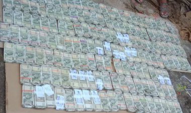 Khair Wood Smuggling : महासमुंद में फर्जी NOC से खैर लकड़ी की तस्करी, घर से मिले 81 लाख कैश