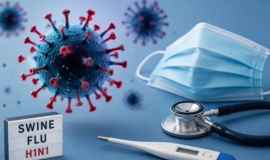 CG Swine Flu : छत्तीसगढ़ में पैर पसार रहा स्वाइन फ्लू ! दो दिन में मिले 85 मरीज, अब तक सामने आये 344 केस
