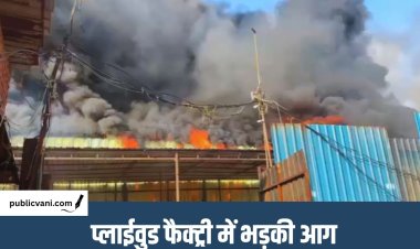 Massive fire in Delhi : प्लाईवुड फैक्ट्री में लगी भीषण आग, 11 दमकल गाड़ियां मौके पर मौजूद