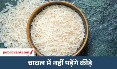 सालों- साल चलेंगे चावल: इन तरीकों को अपनाकर बढ़ाएं चावल की सेहत