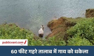 रीवा में पशु क्रूरता: 60 फीट गहरे तालाब में गाय को धकेलने का आरोप, ग्रामीणों में आक्रोश