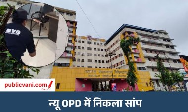 न्यू OPD में निकला सांप: इंदौर के MY अस्पताल में मचा हड़कंप, खिड़की से आया था अंदर
