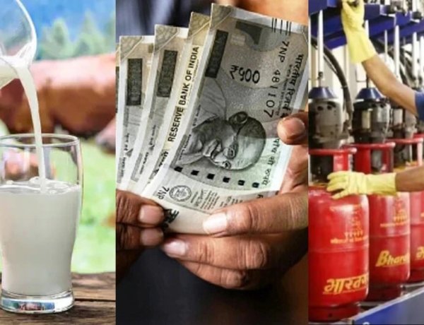 1 सितंबर से महंगाई का असर: LPG सिलेंडर, Tata-Hyundai की कारें और मुंबई में दूध महंगा, जानें क्या-क्या बदला