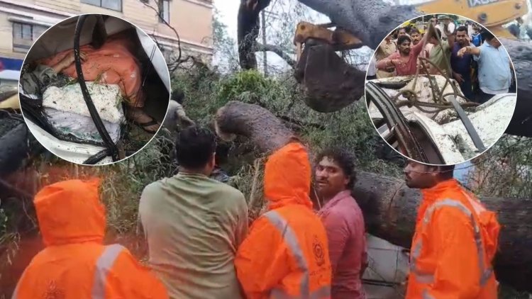 Indore: चलती कार पर गिरा भारी-भरकम पेड़, डिप्टी कलेक्टर की मां की मौत
