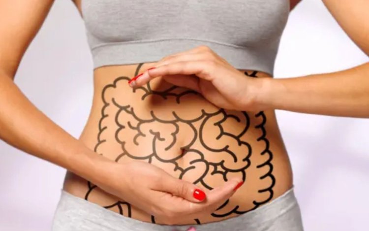 Gut Health : सुबह के नाश्ते में खाएं ये 5 चीजें, पाचन तंत्र को मिल सकता है फायदा