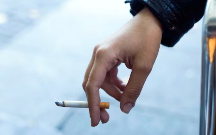 Passive Smoking : भारत में हर साल 3 लाख से ज्यादा मौतें, जानें पैसिव स्मोकिंग का खतरा