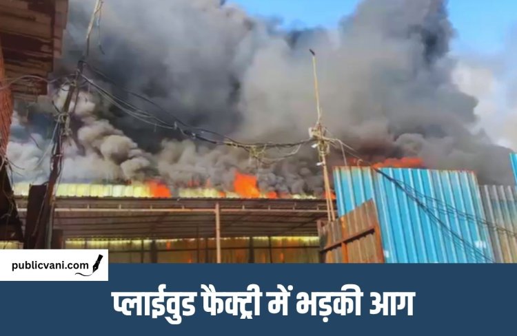 Massive fire in Delhi : प्लाईवुड फैक्ट्री में लगी भीषण आग, 11 दमकल गाड़ियां मौके पर मौजूद