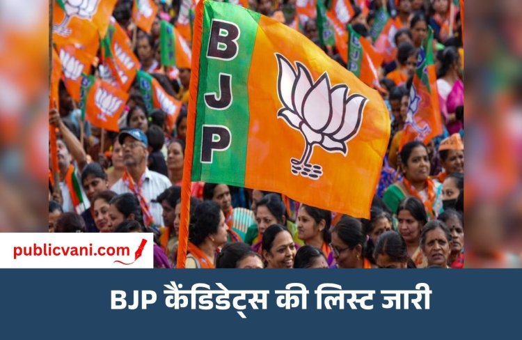 विधान परिषद चुनाव 2026 : बनारस से केदारनाथ सिंह, पटना से नवल किशोर यादव को BJP ने बनाया उम्मीदवार