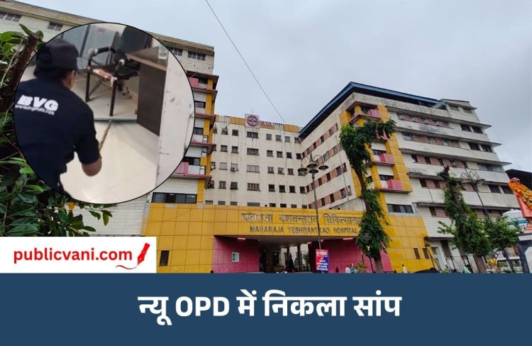 न्यू OPD में निकला सांप: इंदौर के MY अस्पताल में मचा हड़कंप, खिड़की से आया था अंदर