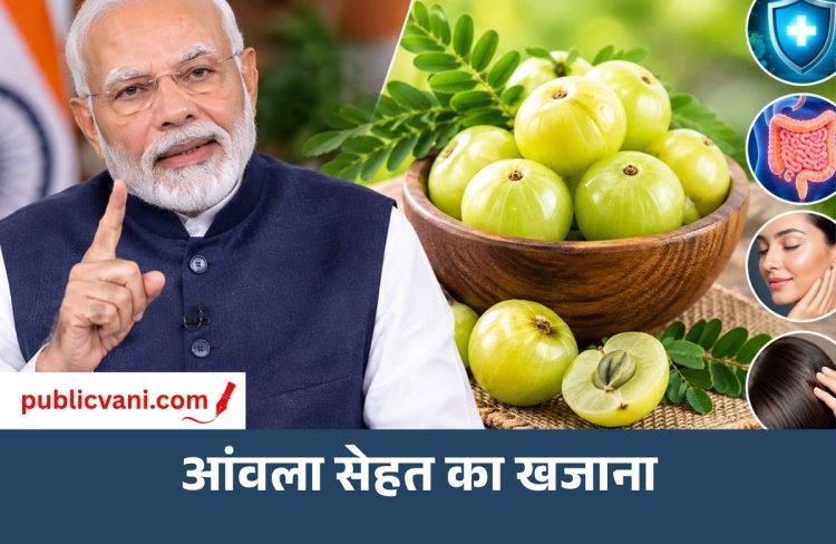 Amla Benefits : आंवला क्यों है सेहत के लिए खास? जानें इसके फायदे