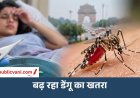 Dengue Case : दिल्ली में डेंगू के 597 केस, जानें कैसे फैलता है और कैसे करें बचाव