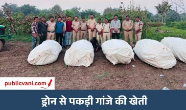सोनकच्छ में ड्रोन से पकड़ी 686 किलो गांजे की खेती: एक बीघा खेत में उगाए थे 354 पौधे