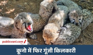 कूनो में 5 शावकों को जन्म : सीएम डॉ. मोहन यादव ने दी बधाई, देश में चीतों की संख्या बढ़कर हुई 60