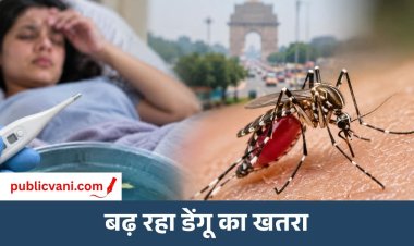 Dengue Case : दिल्ली में डेंगू के 597 केस, जानें कैसे फैलता है और कैसे करें बचाव