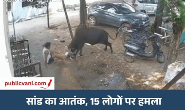 रायपुर में सांड का आतंक: कांग्रेस नेता समेत 15 लोगों पर हमला, ट्रैंक्विलाइजर से काबू में आया सांड