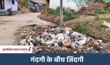 स्वच्छता के दावे निकले खोखले : मुख्य मार्ग चमकाया, अंदर गंदगी का लगा अंबार