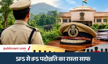 पब्लिक वाणी खास खबर : 11 SFS अफसरों के IFS बनने का रास्ता साफ, 8 के लिफाफे बंद