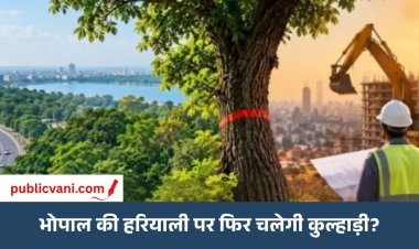 शिवाजी नगर से चार इमली तक री-डेंसिफिकेशन की तैयारी, 500 एकड़ में 60 हजार पेड़ों पर मंडराया संकट