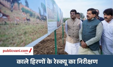 कृष्णमृग रेस्क्यू अभियान: CM ने अधिकारियों से ली व्यवस्थाओं की जानकारी, कहा- हमारा लक्ष्य वन्यजीवों और फसलों की सुरक्षा