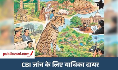 पब्लिक वाणी खास खबर : कूनो से गांवों तक भटक रहे चीते जंगल में भोजन या सुरक्षा का संकट?