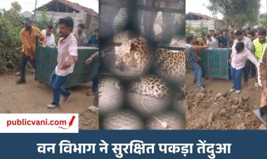 Indore Leopard Rescue : 10 दिन से घायल घूम रहे तेंदुए का रेस्क्यू, रालामंडल में चल रहा इलाज