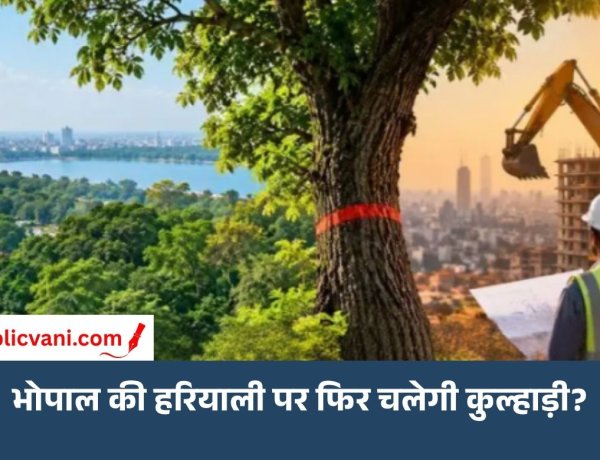 शिवाजी नगर से चार इमली तक री-डेंसिफिकेशन की तैयारी: 500 एकड़ में 60 हजार पेड़ों पर मंडराया संकट