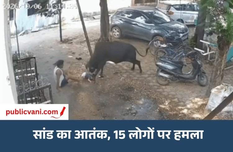 रायपुर में सांड का आतंक: कांग्रेस नेता समेत 15 लोगों पर हमला, ट्रैंक्विलाइजर से काबू में आया सांड