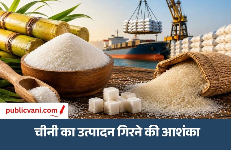 USDA ने डराया : अल-नीनो के असर से गन्ने की फसल को नुकसान, महंगी हो सकती है शक्कर