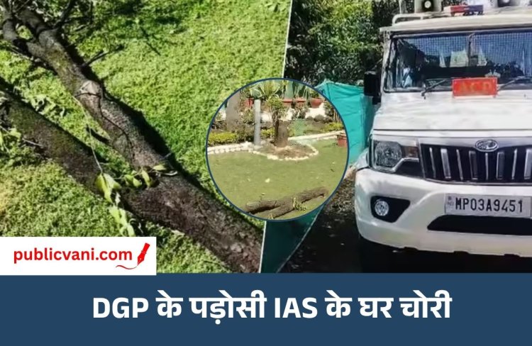 Sandalwood Tree Theft : MP DGP के पड़ोसी IAS पोरवाल के घर चोरी, चंदन का पेड़ काटकर ले गए चोर