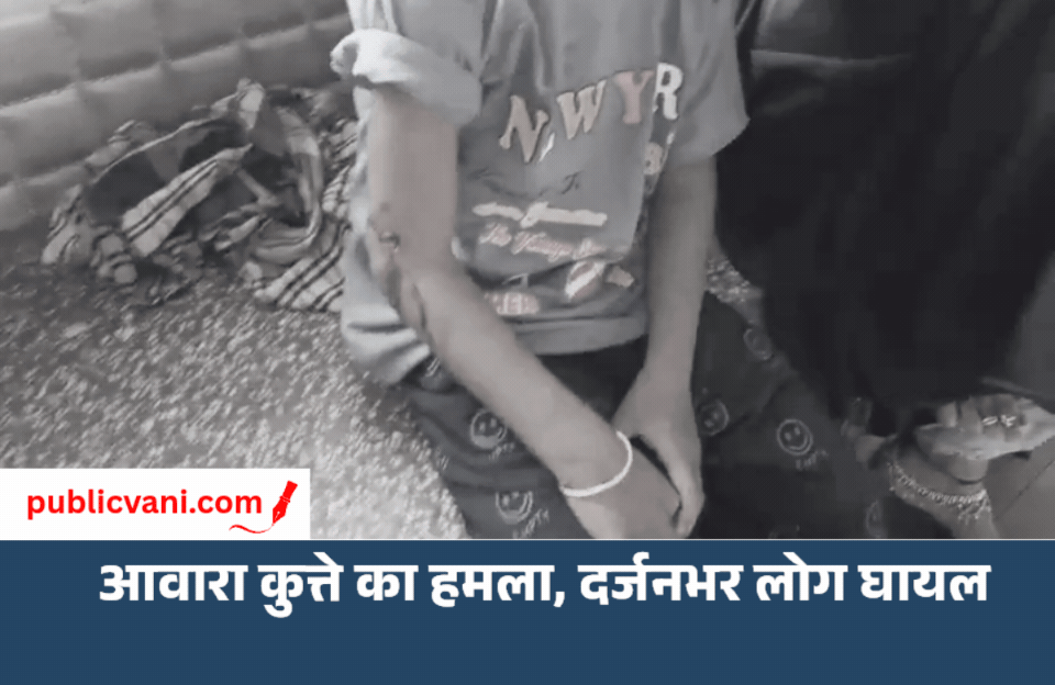 Maihar में आवारा कुत्ते का आतंक: दर्जनभर लोगों को काटा; एक की हालत गंभीर, रीवा रेफर