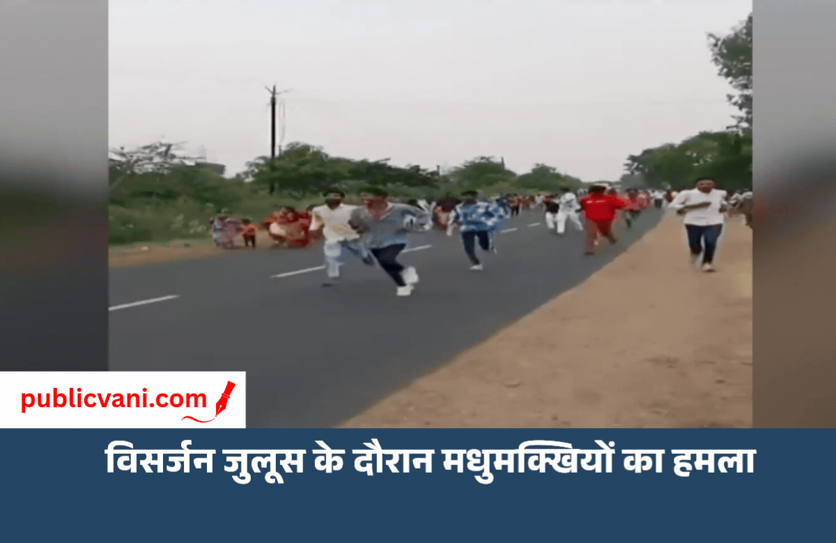 200 श्रद्धालुओं की भीड़ पर मधुमक्खियों का हमला: 40 घायल